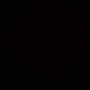 Meet your Posher, Bella